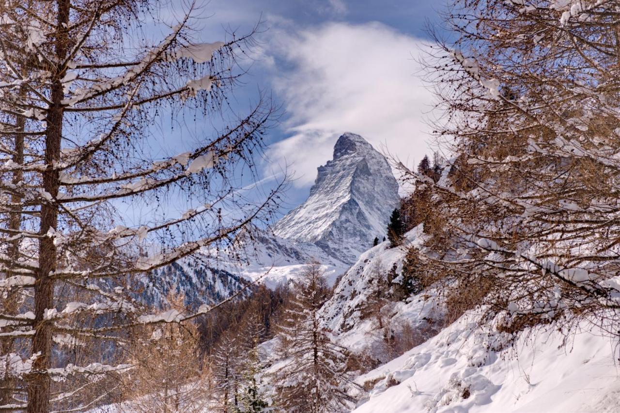 Chalet Zen Zermatt, 100M From Ski Lift And Piste Exterior foto